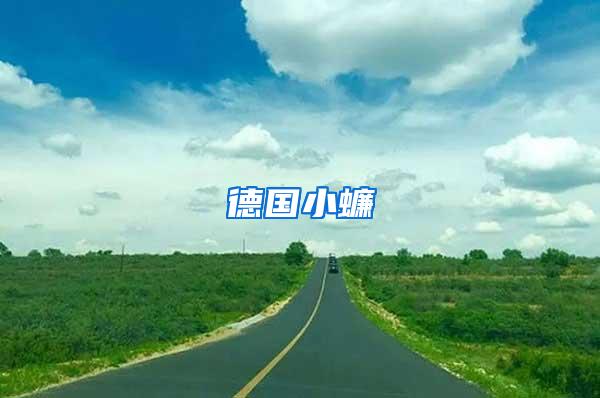德国小蠊