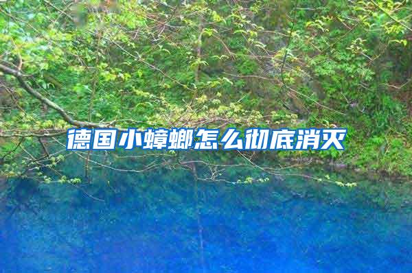 德国小蟑螂怎么彻底消灭