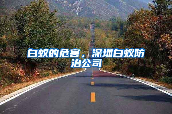 白蚁的危害，深圳白蚁防治公司
