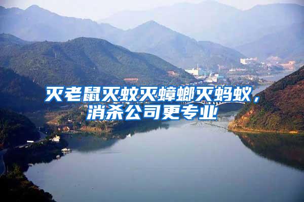 灭老鼠灭蚊灭蟑螂灭蚂蚁，消杀公司更专业