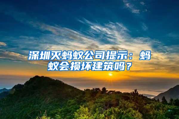 深圳灭蚂蚁公司提示：蚂蚁会损坏建筑吗？