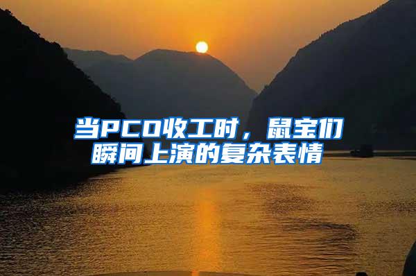 当PCO收工时，鼠宝们瞬间上演的复杂表情