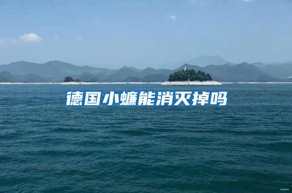 德国小蠊能消灭掉吗