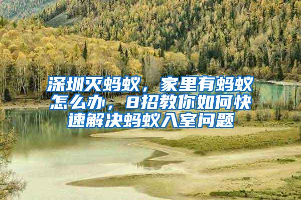 深圳灭蚂蚁，家里有蚂蚁怎么办，8招教你如何快速解决蚂蚁入室问题