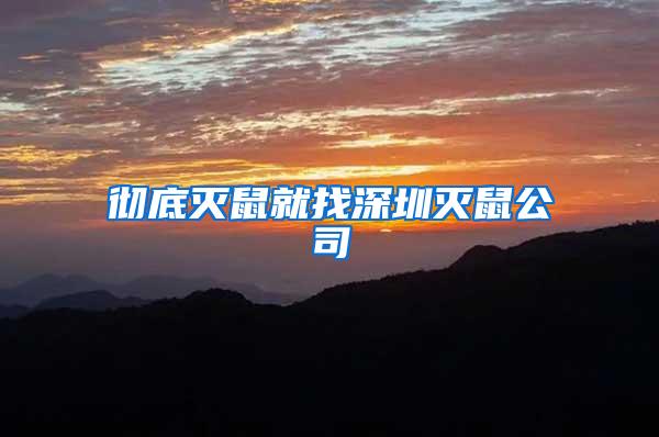 彻底灭鼠就找深圳灭鼠公司