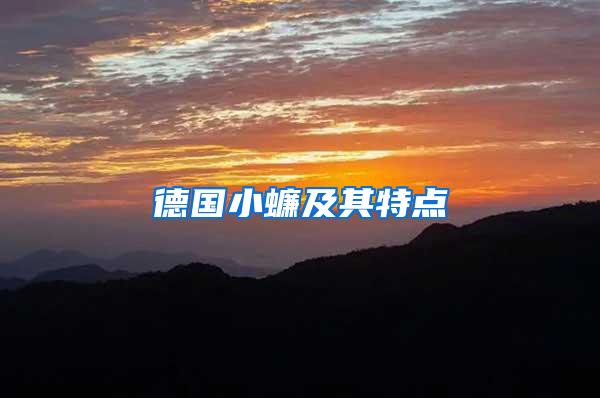 德国小蠊及其特点