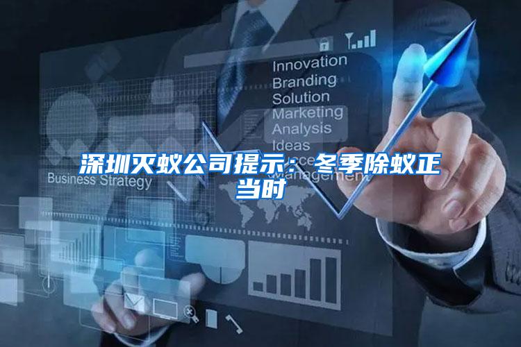 深圳灭蚁公司提示:冬季除蚁正当时