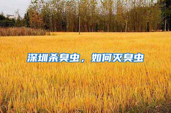 深圳杀臭虫，如何灭臭虫