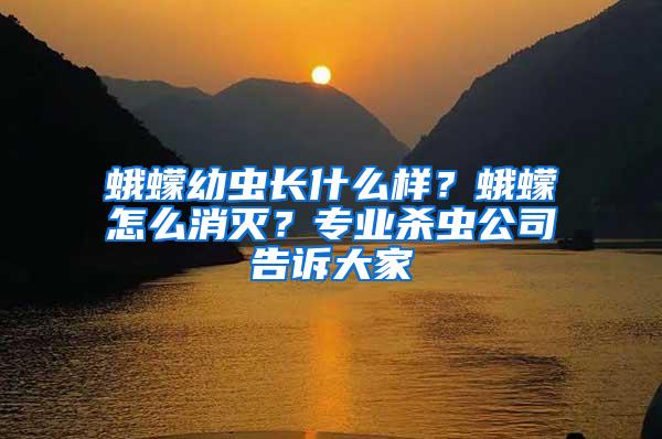 蛾蠓幼虫长什么样？蛾蠓怎么消灭？专业杀虫公司告诉大家