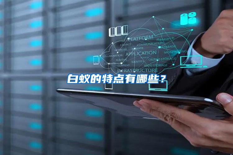 白蚁的特点有哪些？