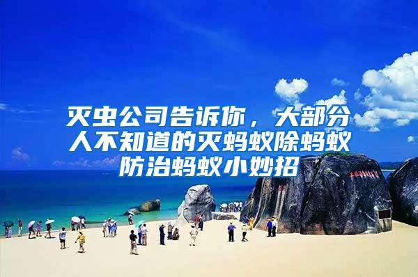 灭虫公司告诉你，大部分人不知道的灭蚂蚁除蚂蚁防治蚂蚁小妙招
