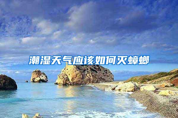 潮湿天气应该如何灭蟑螂