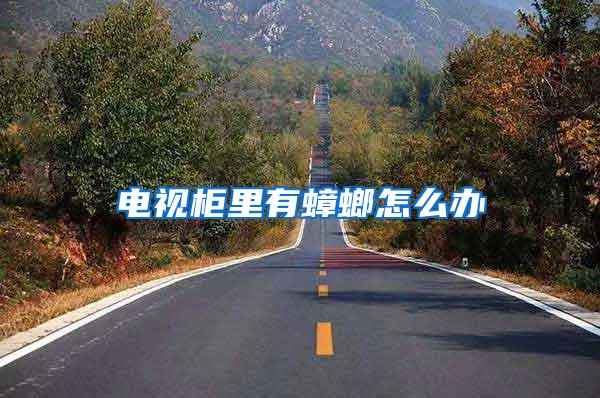 电视柜里有蟑螂怎么办