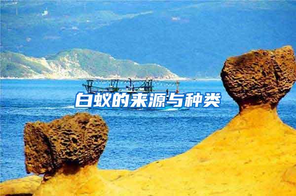 白蚁的来源与种类