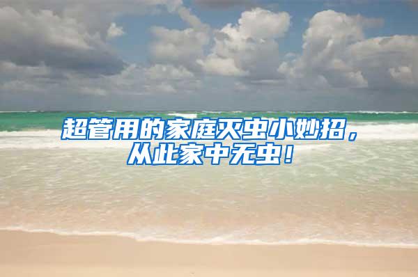 超管用的家庭灭虫小妙招，从此家中无虫！