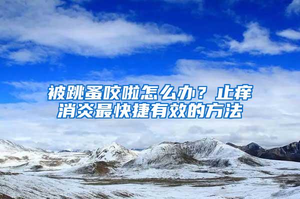 被跳蚤咬啦怎么办？止痒消炎最快捷有效的方法