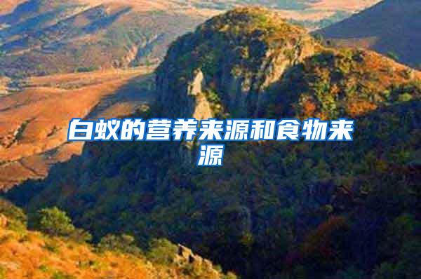 白蚁的营养来源和食物来源