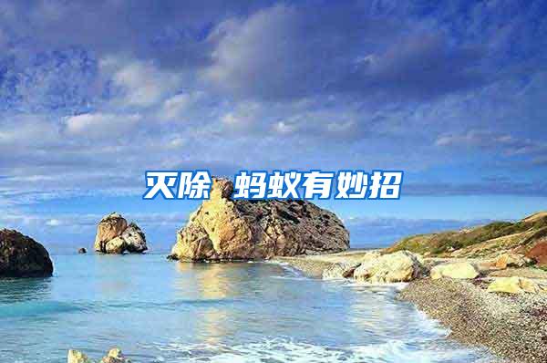 灭除 蚂蚁有妙招