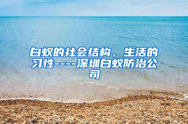 白蚁的社会结构，生活的习性----深圳白蚁防治公司