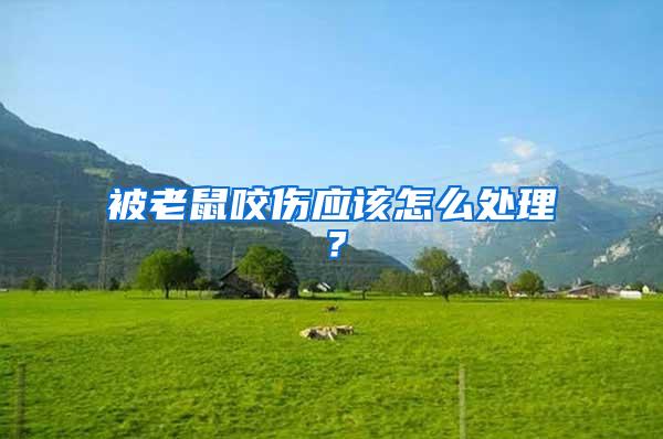 被老鼠咬伤应该怎么处理？