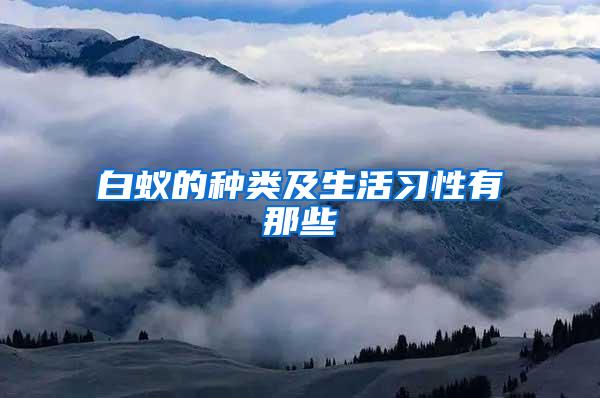 白蚁的种类及生活习性有那些