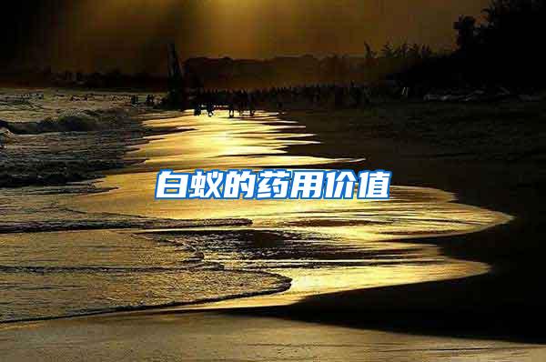 白蚁的药用价值