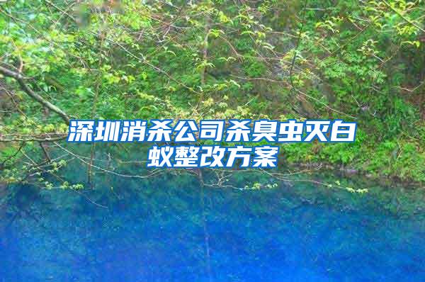 深圳消杀公司杀臭虫灭白蚁整改方案