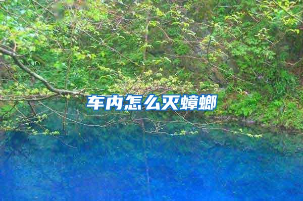 车内怎么灭蟑螂