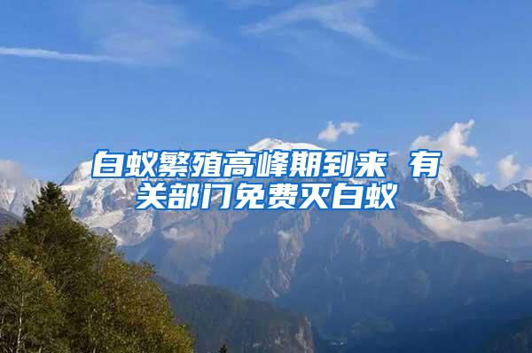 白蚁繁殖高峰期到来 有关部门免费灭白蚁