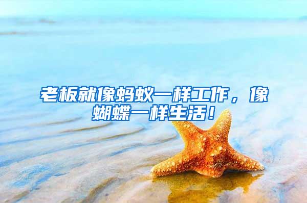 老板就像蚂蚁一样工作，像蝴蝶一样生活！