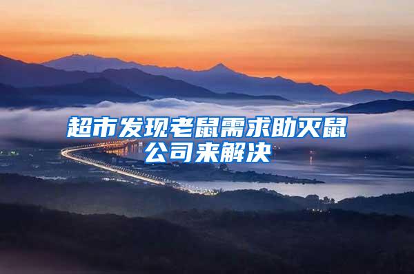 超市发现老鼠需求助灭鼠公司来解决