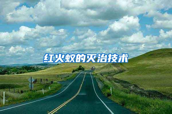 红火蚁的灭治技术