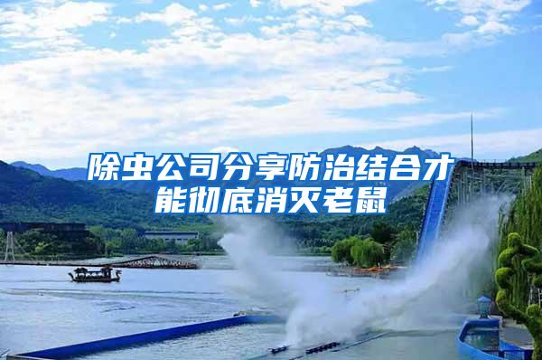 除虫公司分享防治结合才能彻底消灭老鼠