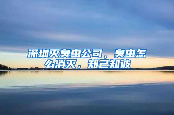深圳灭臭虫公司，臭虫怎么消灭，知己知彼