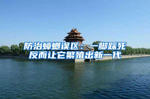 防治蟑螂误区：一脚踩死反而让它繁殖出新一代