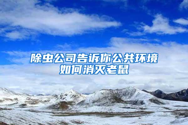 除虫公司告诉你公共环境如何消灭老鼠