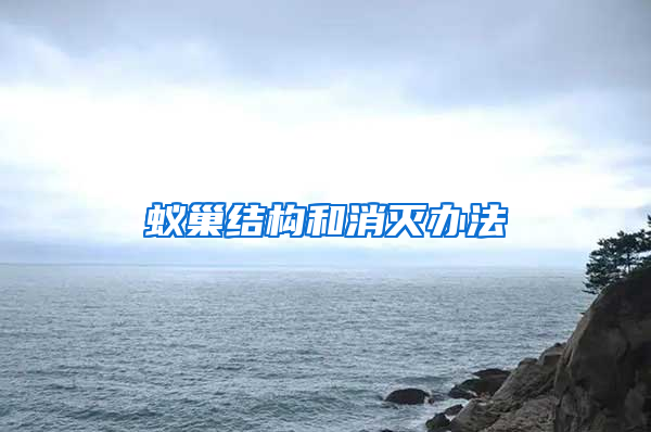 蚁巢结构和消灭办法
