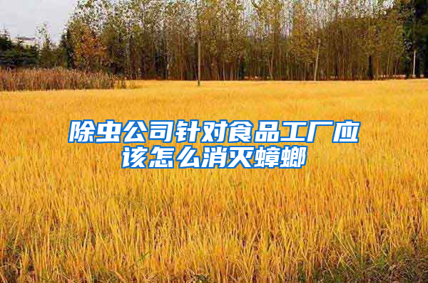 除虫公司针对食品工厂应该怎么消灭蟑螂