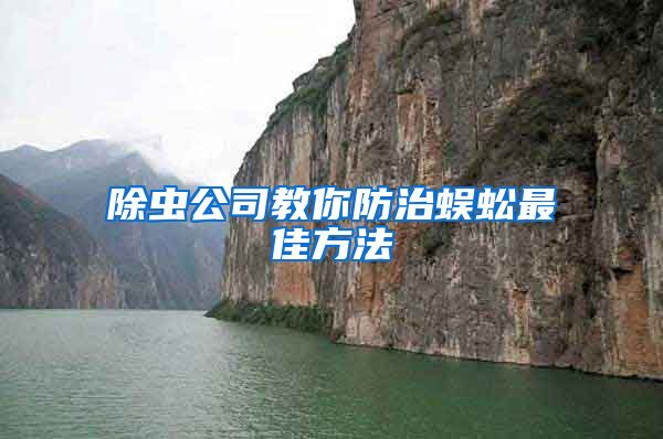 除虫公司教你防治蜈蚣最佳方法