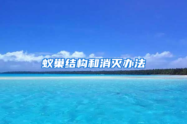 蚁巢结构和消灭办法