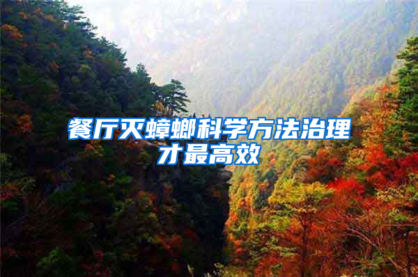 餐厅灭蟑螂科学方法治理才最高效