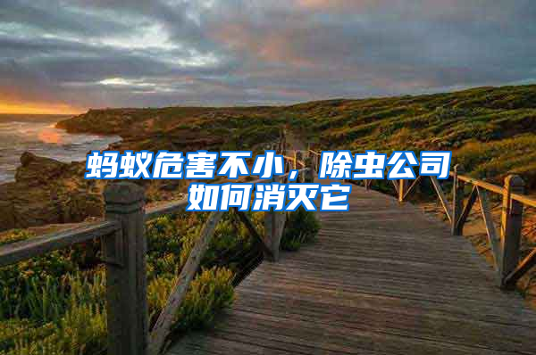 蚂蚁危害不小，除虫公司如何消灭它