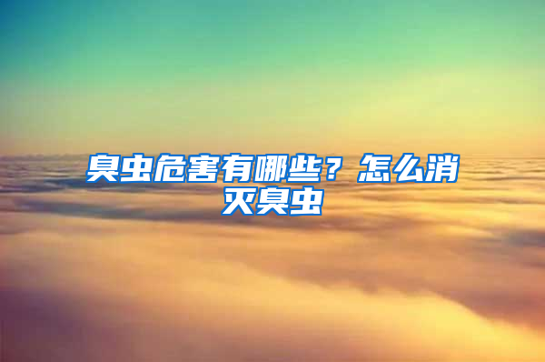 臭虫危害有哪些？怎么消灭臭虫