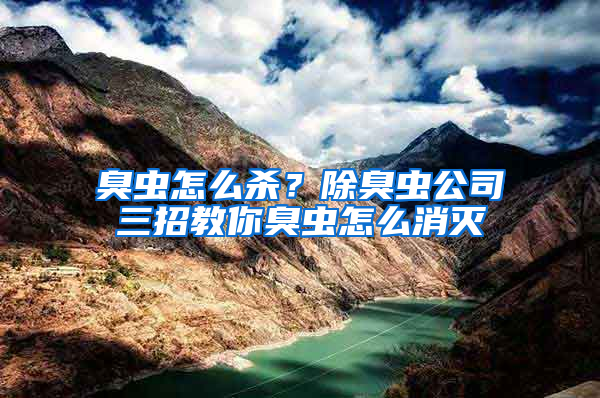 臭虫怎么杀？除臭虫公司三招教你臭虫怎么消灭
