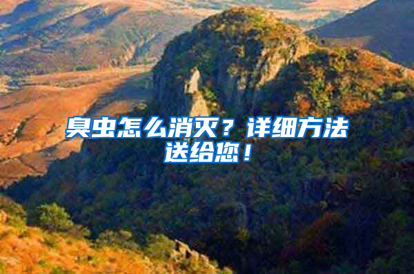 臭虫怎么消灭？详细方法送给您！