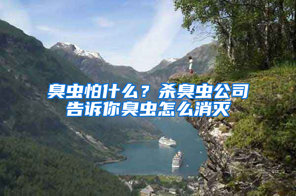 臭虫怕什么？杀臭虫公司告诉你臭虫怎么消灭