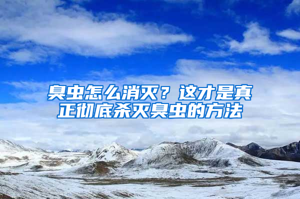 臭虫怎么消灭？这才是真正彻底杀灭臭虫的方法
