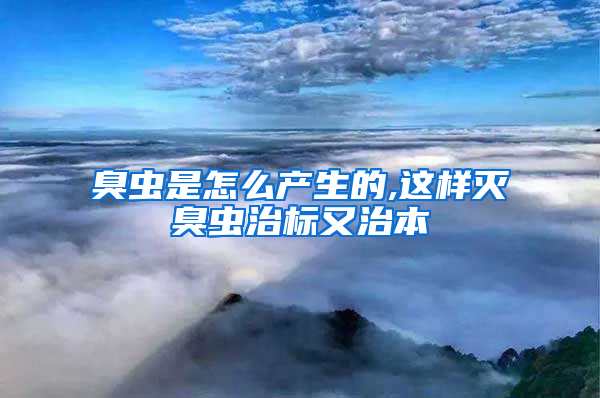 臭虫是怎么产生的,这样灭臭虫治标又治本