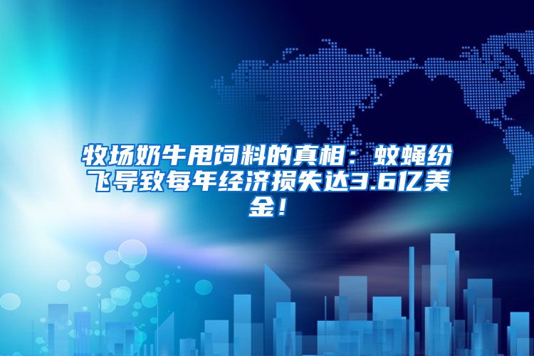 牧场奶牛甩饲料的真相：蚊蝇纷飞导致每年经济损失达3.6亿美金！