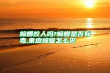 蟑螂咬人吗?蟑螂是否有毒,家庭蟑螂怎么灭